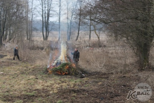 Без лопаты и воды. Как жители Вилейского района сжигают на участках мусор (ФОТО)