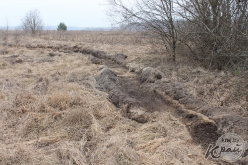 Без лопаты и воды. Как жители Вилейского района сжигают на участках мусор (ФОТО)