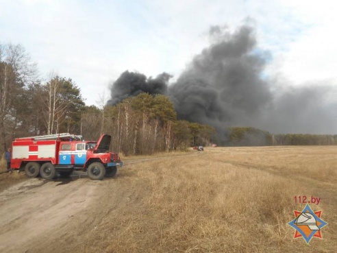 Пожар на полигоне д. Бабино-1