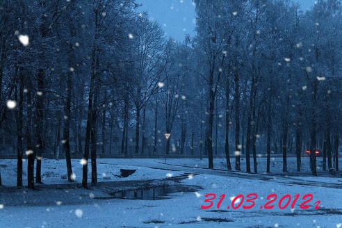 Март в Горках: шесть лет в фотографиях