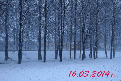 Март в Горках: шесть лет в фотографиях