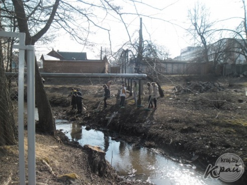 В Вилейском районе организовали молодежные субботники (ФОТО)