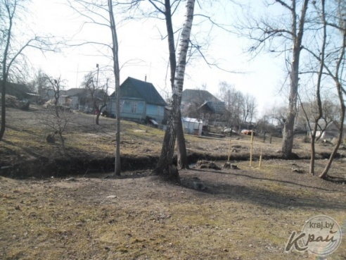 В Вилейском районе организовали молодежные субботники (ФОТО)