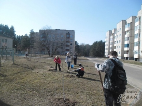 В Вилейском районе организовали молодежные субботники (ФОТО)