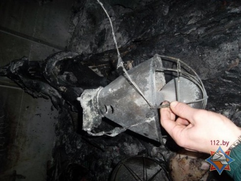 265 поросят погибли при пожаре на свинокомплексе в Мстиславском районе