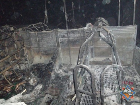 265 поросят погибли при пожаре на свинокомплексе в Мстиславском районе