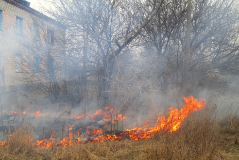 За последние 7 дней спасатели 45 раз выезжали на тушение пожаров сухой растительности и мусора