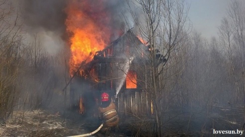 Пожары травы под Светлогорском перекинулись на дачи, в районном МЧС объявлен общий сбор (фото)