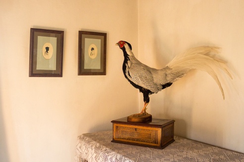 Путешествия: Музей-усадьба Адама Мицкевича (Заосье)