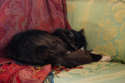 Путешествия: Музей-усадьба Адама Мицкевича (Заосье)