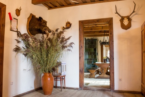 Путешествия: Музей-усадьба Адама Мицкевича (Заосье)