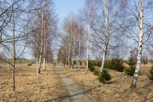 Путешествия: Музей-усадьба Адама Мицкевича (Заосье)