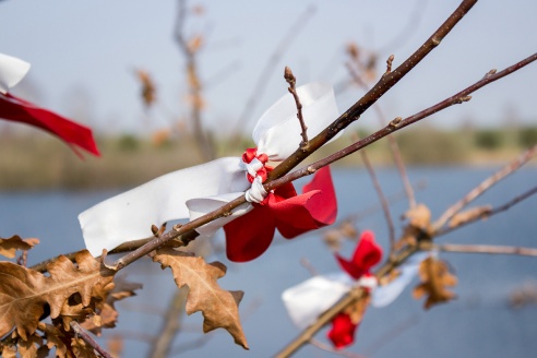 Путешествия: Музей-усадьба Адама Мицкевича (Заосье)