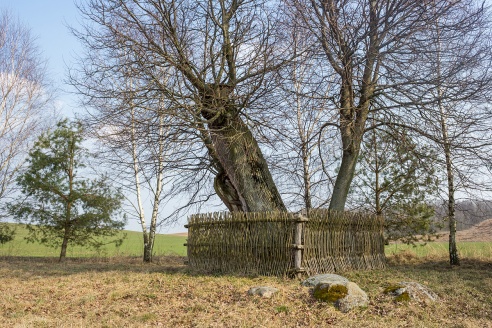 Путешествия: Музей-усадьба Адама Мицкевича (Заосье)