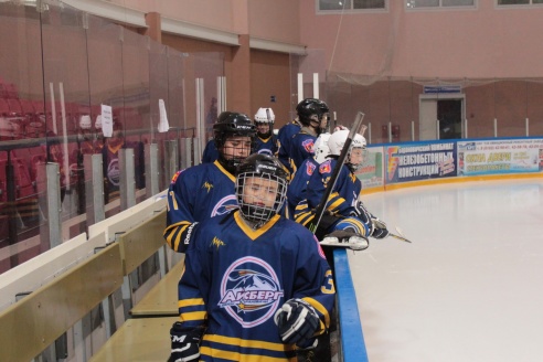 Фоторепортаж: На юношеском турнире юные хоккеисты из Барановичей обыграли витебскую команду