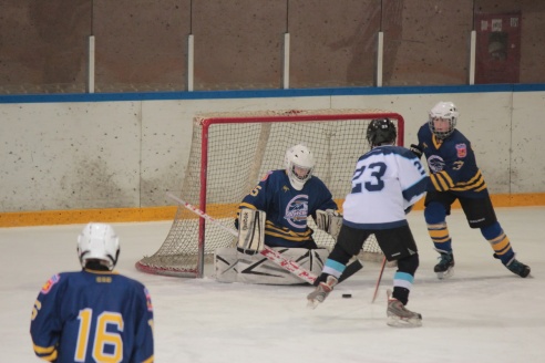 Фоторепортаж: На юношеском турнире юные хоккеисты из Барановичей обыграли витебскую команду