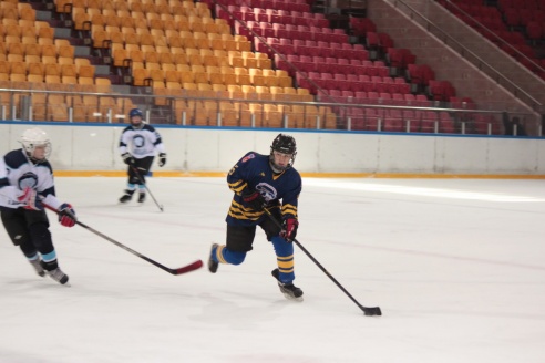Фоторепортаж: На юношеском турнире юные хоккеисты из Барановичей обыграли витебскую команду