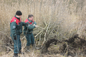 Республиканский субботник прошел в Костюковичском районе