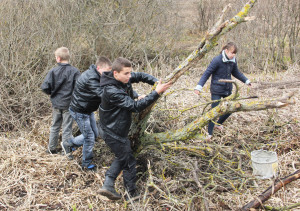 Республиканский субботник прошел в Костюковичском районе