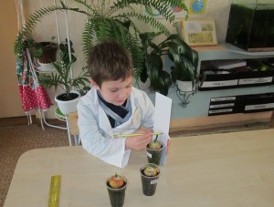 Дошкольник-исследователь. Костюковчанам-родителям на заметку (+ фото)