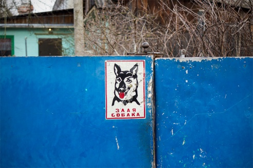 Злые собаки в Барановичах