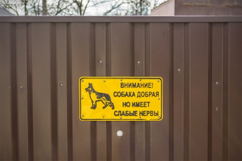 Злые собаки в Барановичах