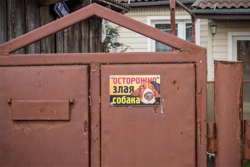 Злые собаки в Барановичах