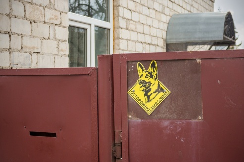 Злые собаки в Барановичах