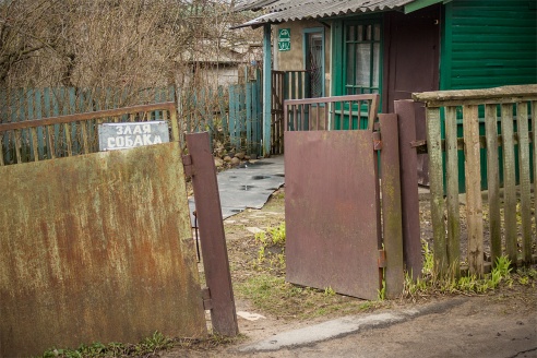Злые собаки в Барановичах