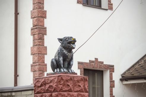 Злые собаки в Барановичах