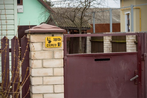 Злые собаки в Барановичах