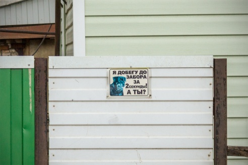 Злые собаки в Барановичах