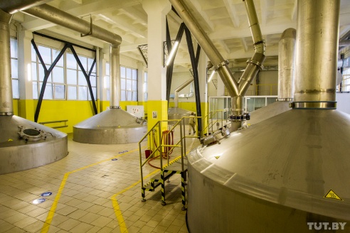 Made in Belarus. Как рождается бобруйское пиво и зачем Heineken останки водорослей