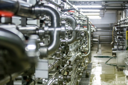 Made in Belarus. Как рождается бобруйское пиво и зачем Heineken останки водорослей