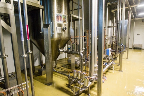 Made in Belarus. Как рождается бобруйское пиво и зачем Heineken останки водорослей