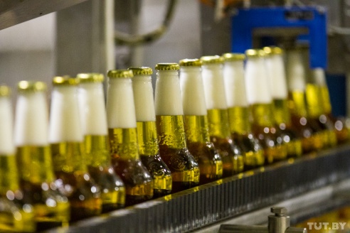 Made in Belarus. Как рождается бобруйское пиво и зачем Heineken останки водорослей