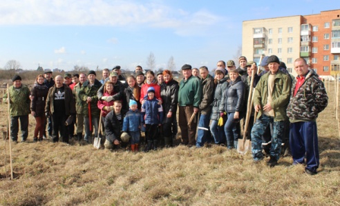 В Лиозненском районе высаживаются аллеи к 70-летию Великой Победы