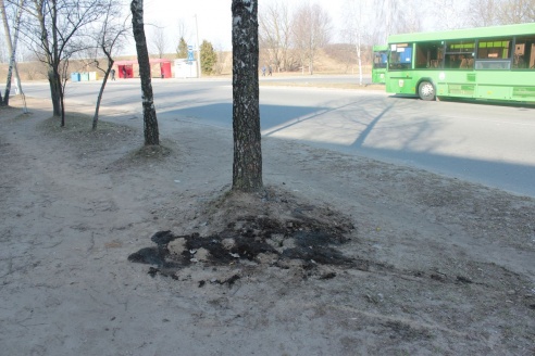 Самое читаемое на сайте Intex-press за март 2015 года