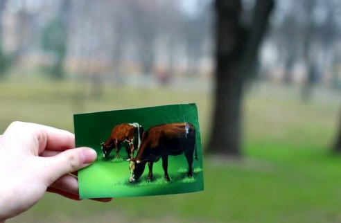 В сети проводится флешмоб «Другие Барановичи»
