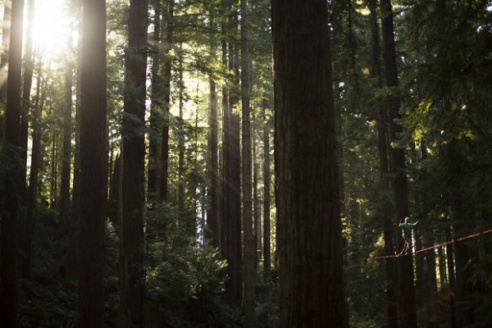 ФОТОФАКТ: Самые безумные канатоходцы мира