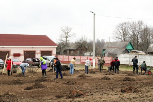 Новый плодовый сад в Лиозно