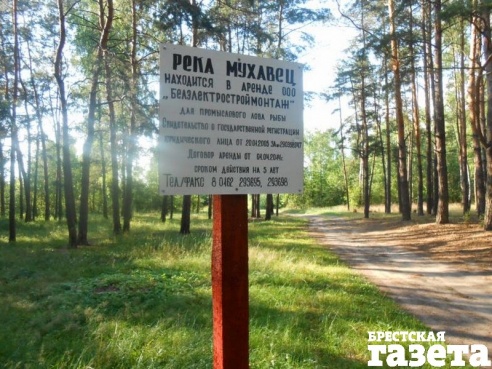 Вернуть озеро Споровское и реку Мухавец народу требуют брестские социал-демократы