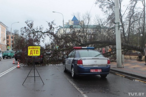 В Бресте сильный ветер крушил рекламные щиты, валил деревья и срывал крыши (ФОТО)
