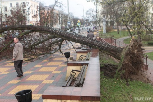В Бресте сильный ветер крушил рекламные щиты, валил деревья и срывал крыши (ФОТО)