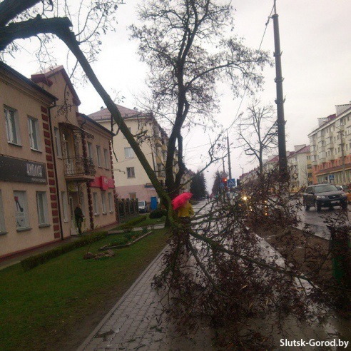Скорость ветра достигала 24 м/с. Последствия непогоды 13 апреля в Слуцком районе