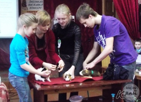 У кого самая стройная морская свинка и чей хомяк быстрее ест семечки – выясняли в Вилейке (ФОТО)