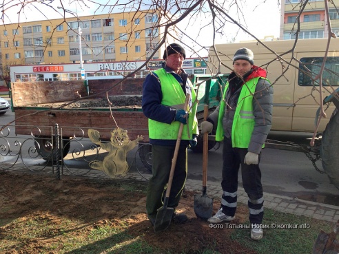 Бобров в Бобруйске стало больше
