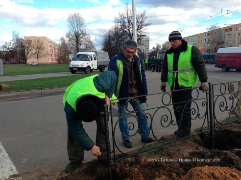 Бобров в Бобруйске стало больше