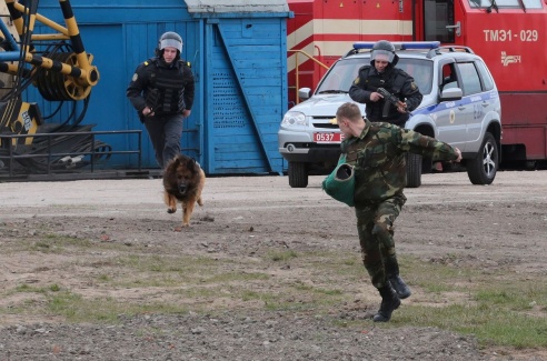 В Барановичах прошли масштабные учения сил территориальной обороны