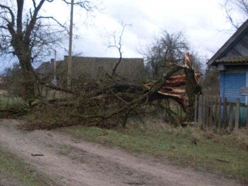 Буянства стыхіі